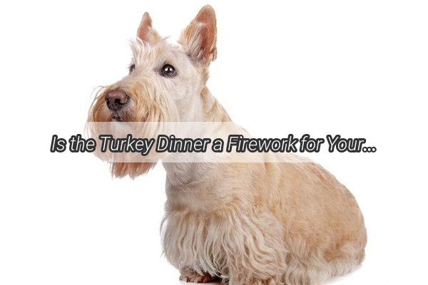 Is the Turkey Dinner a Firework for Your Dogs Tummy Unraveling the Truth About Fireworks and Fido